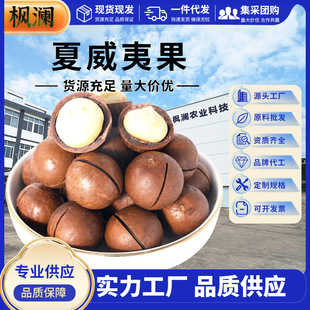 ���l��؛�����Ĺ����w��ԭζ����ζ�ɹ�ɢ�b���b���e��ʳ�Թ���؛