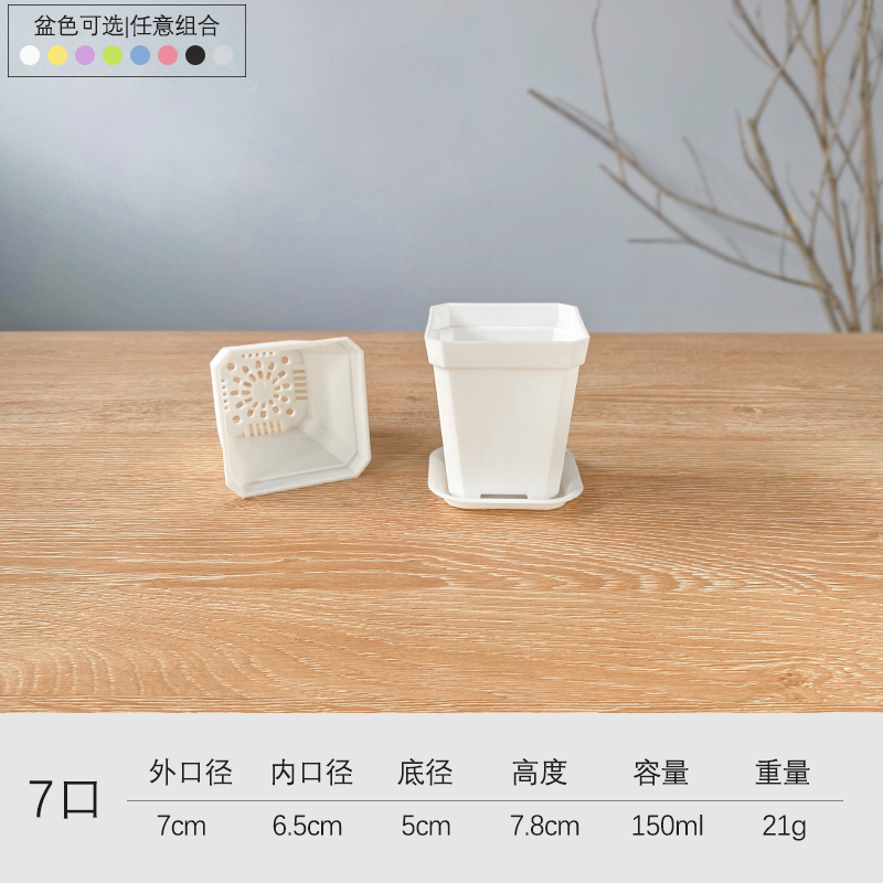 플라스틱 - 흰색의 두꺼운 7구 세면대 20개(트레이 포함) - 친환경 플라스틱