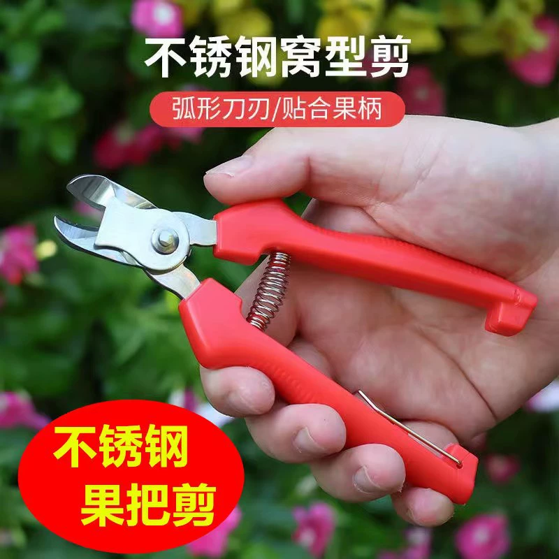 Нержавеющая сталь Wozi Fruit Rats Томатная хурма ножницы для сбора фруктов