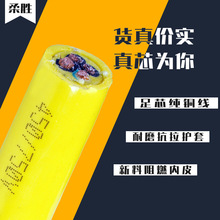 �۰���PUҰ�⿱̽��| ������̽�� �ͺ��͜ط�����ˮ�������y��