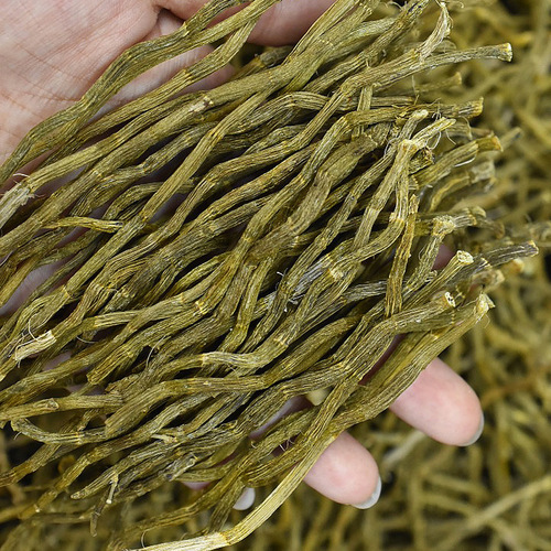 Dried Iron Orchid (Dendrobium candidum) 5-year straight stems, rich in gelatin, no residue, clean orchid stems, can be ground into powder, wholesale bulk