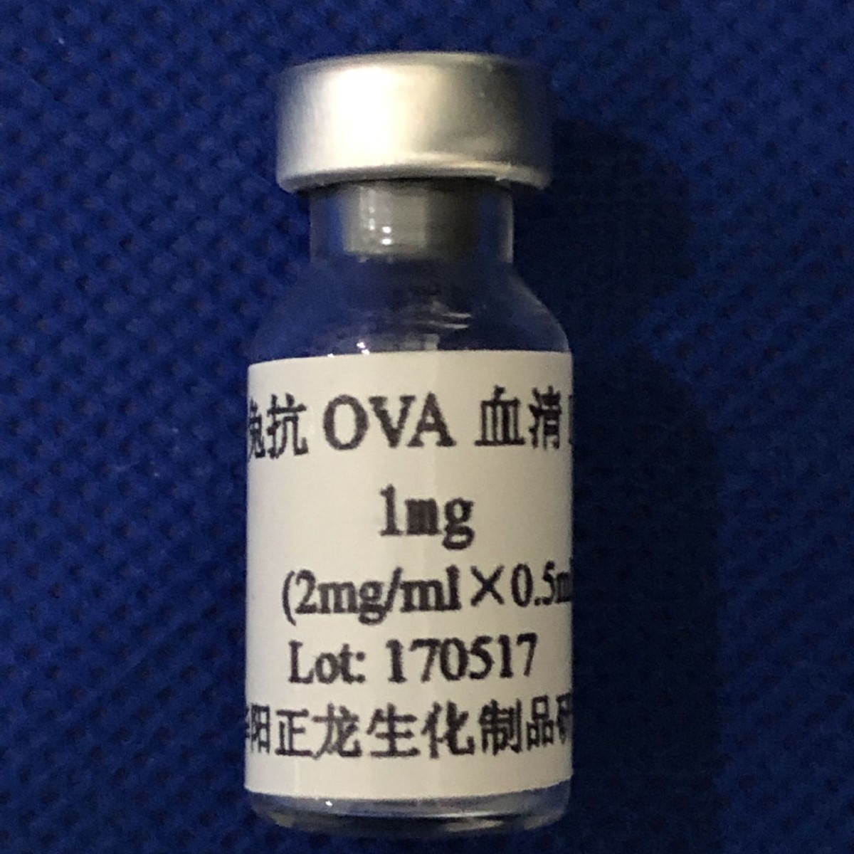 兔抗OVA抗体-10MG