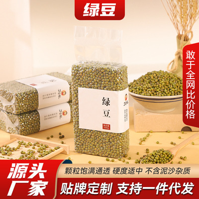 绿豆真空包装500g散装新货易煮明绿豆五谷杂粮代加工一斤粗粮豆类|ms