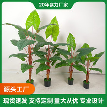 仿真绿植单杆彩虹芋落地假绿植装饰室内外绿色植物创意造景盆栽