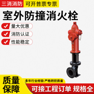 Tianguang Baisha Mintai Baian factory direct SS100/65 ground hydrant antifreeze self-draining fire hydrant height SSFW