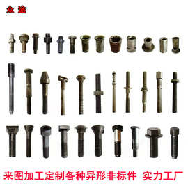 加工定制异形螺栓螺母来图定做各种异型非标件加长加大特殊高强度