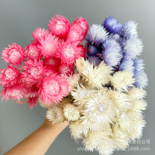 ��ʯ����ѩɏ�ɻ��滨�������Ҿӻ�c�b��Ĕz����diy�ֹ�����