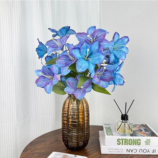 ��ݰٺϻ����쾰���滨��Y������dĪ�λ�ˇ�廨���������b�