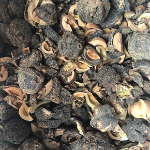 ���l����� �͸���  �׺� ���� ľ�� ���ϙ� ��ʹ� �͸�