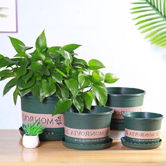 花盆塑料地面底盤蔬菜加厚種菜加倫圓形矮盆小號托盆草花多用時尚
