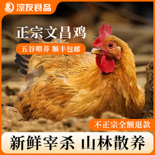 �����Ĳ��u�r��ɢ�B���u���r���u�S���uҬ���u�Ҝ����ʳ�����l