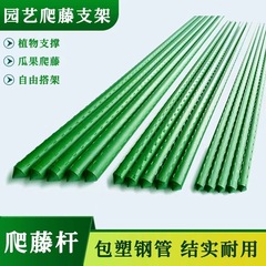 メーカー直発園芸支柱プラスチック鋼管植物ステント藤花架月季支持棒キュウリ藤架