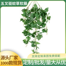 羳òݾGֲ滨ٗlֲYccٻbb