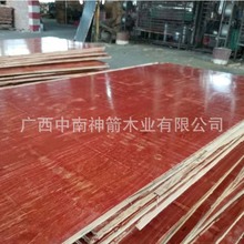 高性价比建筑模板轻便易运输海外市场建筑项目的理想选择