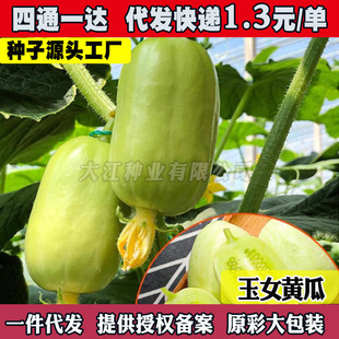 ˮSϷNӽͯŮСSϷNѴļ̨߲˷N