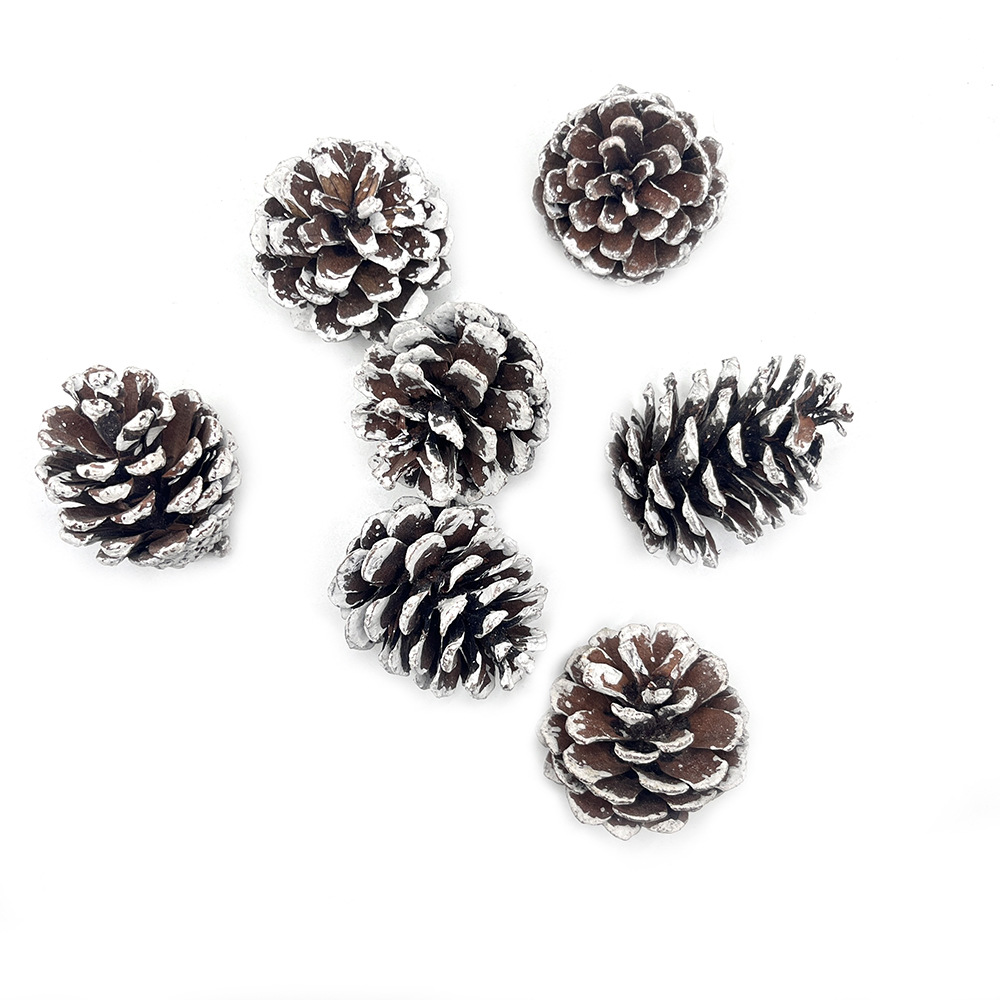 Pinine Natural Decoración navideña Copo de nieve Pinine Ardilla Hamster Totoro Loro Loro Descongestionante Juguetes molares para mascotas