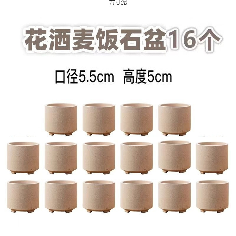 Price for 16 Pieces: Showerhead-Shaped Maifan Stone Succulent Pots, Thumb-Sized Pots, Water-Permeable and Breathable Hand-Painted Coarse Pottery Small Round Succulent Pots