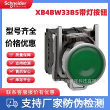 XB4����AC/DC24���o�_�P22mmƽ�^VXB4BW31B5 33B5 34B5 35B5 36B5