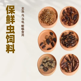 观赏鱼饲料;水族宠物饲料