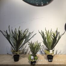 ����Gֲ¹��ާ�~�Ꭷֲ��젝̦�\ާ�����¹�Ǵ����ڒ��ֲ��