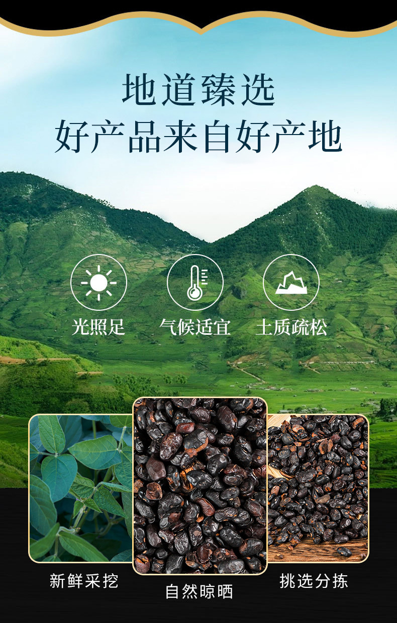 Dan Dou Chi (Fermented Black Soybean) — Traditional Food Herb, 500g overview