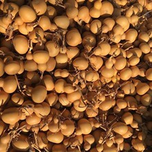 ɽ�|���l��Ȼ�����^С���J ��������Ѽ� �����ˇƷ