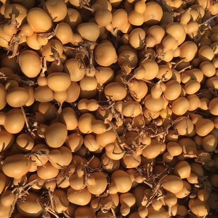 ɽ�|���l��Ȼ�����^С���J ��������Ѽ� �����ˇƷ