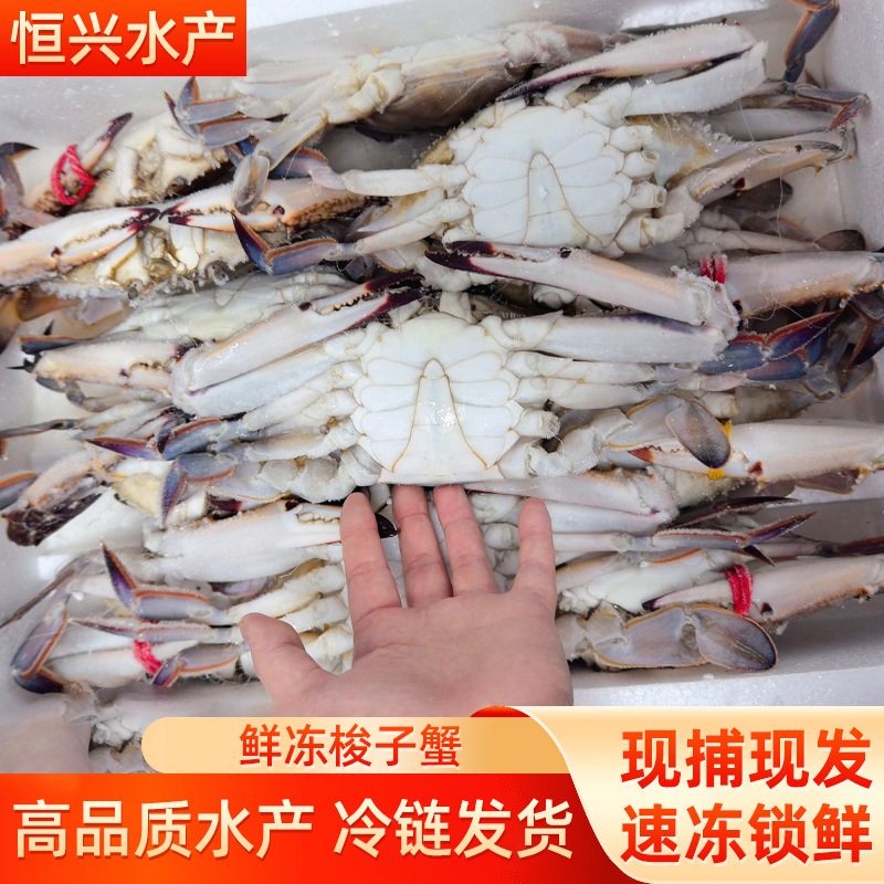 梭子蟹蟹股蟹块新鲜鲜活冷冻切割蟹螃蟹制品海鲜水产批发