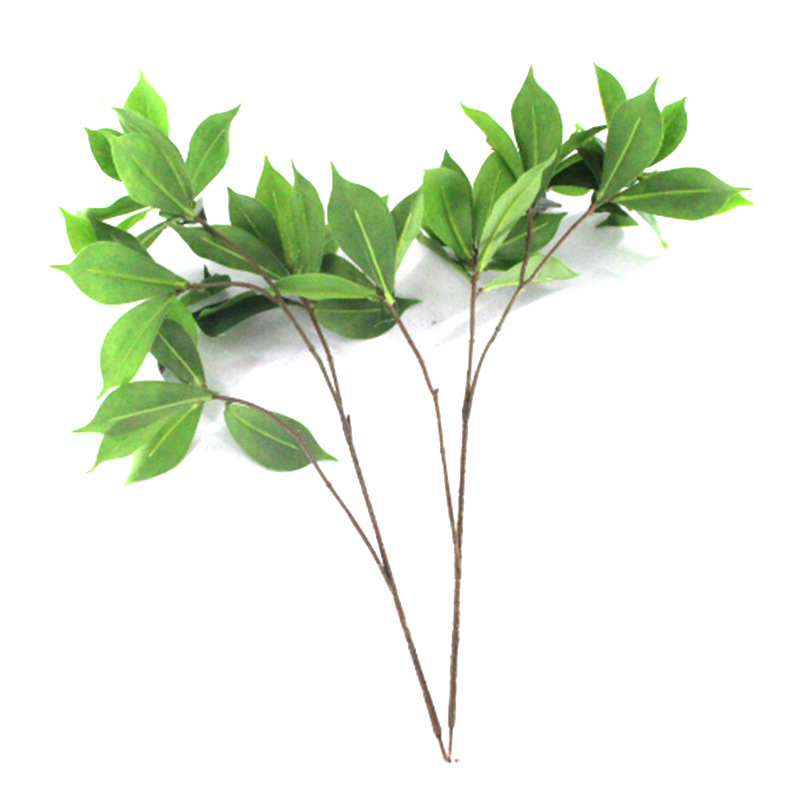 XRB-226 厚皮香四叉枝 (4).jpg