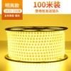 2835-156 Beads straight double row [warm light]