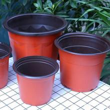 ϻӺpɫIBIBһԷNֲSl