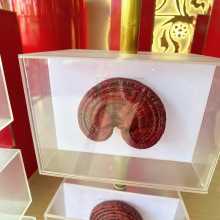 șĘ˱ģͿյtԺșBʳƷչ̨Ʒ[O