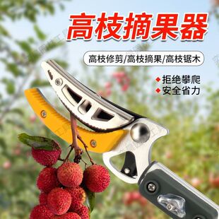 ժˮ����s�U��ժ��֦������÷�������֦���߿�֦����������