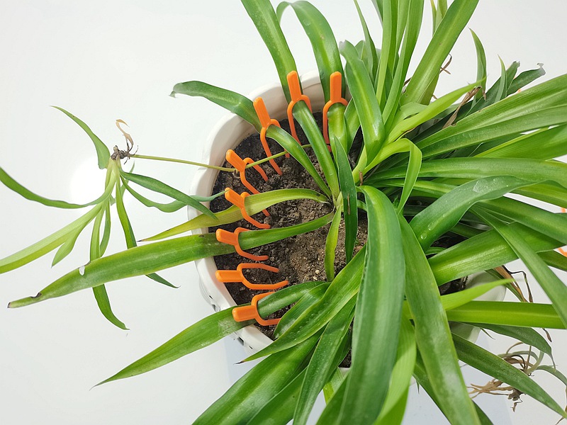 IMG_20230308_105517_副本_副本