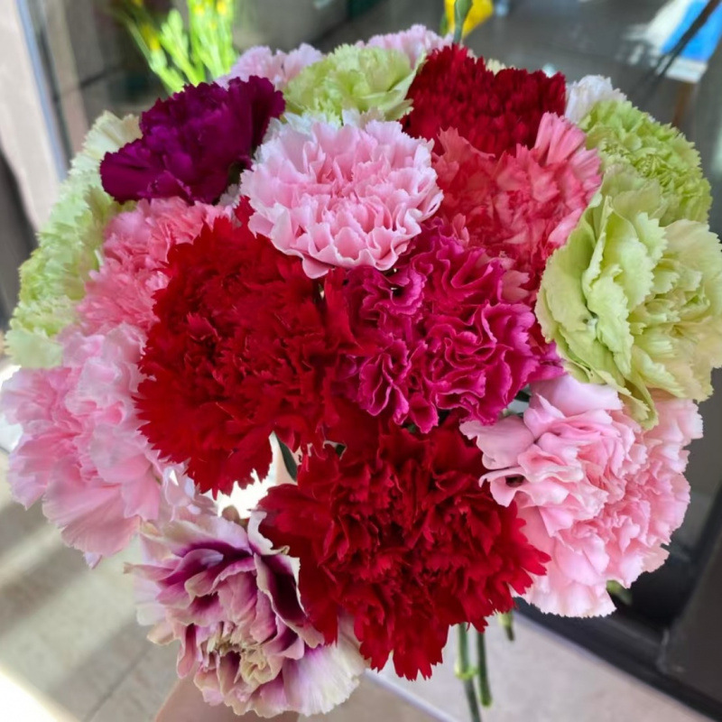 玫瑰花鲜花云南昆明基地批直发百合向日葵红豆家用鲜切水养插|undefined