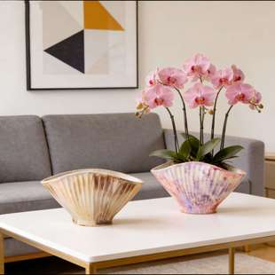 ����ʽ�����մɻ�������mޥ�m���λ��������L�δ����W�U��Ҿ�