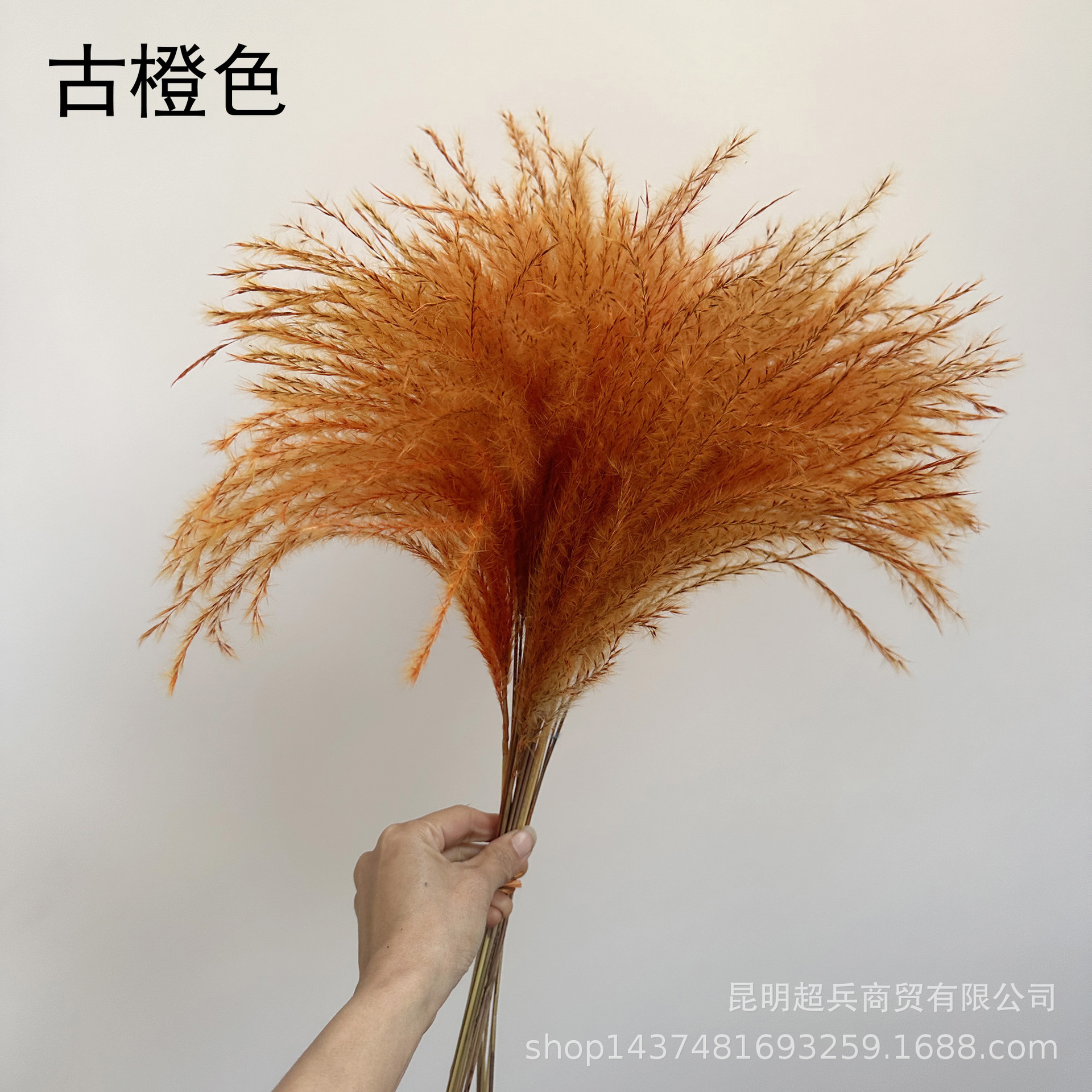 微信图片_20250310133805.jpg