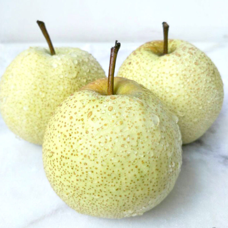 Anhui Dangshan Pellicle Pear fresh Apple Pears 510 Wholesale Fruit