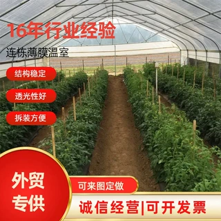 蔬菜薄膜大棚连栋拱形育苗大棚养殖大棚镀锌钢大棚骨架温室大棚
