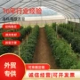 养殖育苗温室大棚骨架