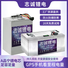 電気自動車リチウム電池48V60V72V二輪三輪宅配便用自動車級リン酸鉄リチウム電気自動車