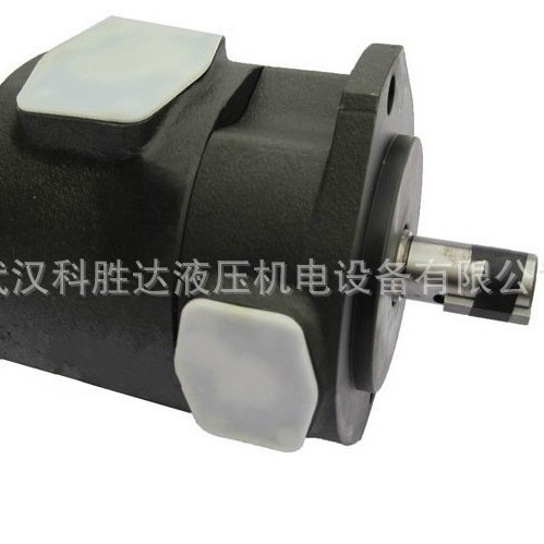 定量油泵IVP31-35-12-F-R-1BB-10叶片泵IVP31-17-3-R-R-86BC-10液