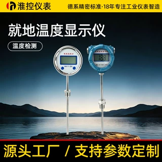 防爆就地温度显示仪带探头PT100热电阻偶一体化数显温度计工业用