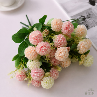 10���׹���շ��滨�Ҿӻ�Y��ꐲ廨�����b����컨