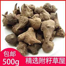 西藏魔芋别名草屋附图片个子非切片无胆无硫中药材500克包邮