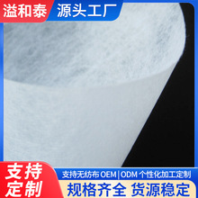 白色涤纶无纺布 pet纺粘长丝水刺无纺布 聚酯无纺布耐高温无纺布
