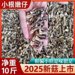 净重嫩仔鹿茸菇干货批发500g商用鹿茸菌脆嫩新货菌菇散装批发价