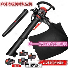 �����ƺ���L�CͥԺ���~���m�����~�ռ�����ߴ��ʴ�����������