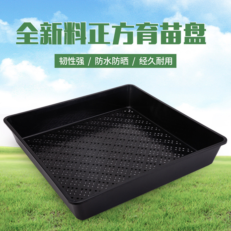 多肉育苗盘正方形小黑方托盘叶插盘育苗盒塑料花盆整理框育苗盘黑