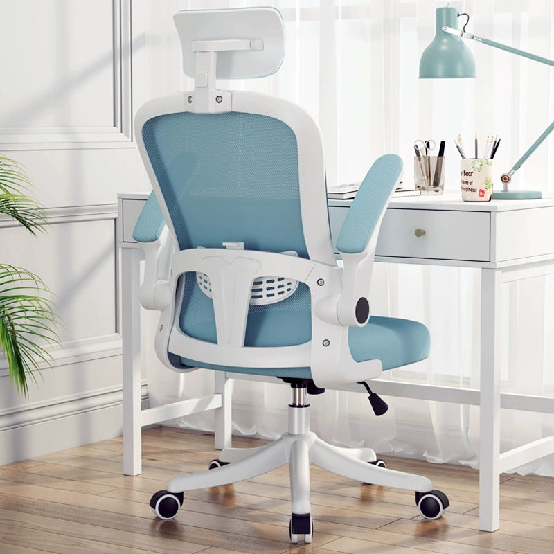 Домашний компьютерный стул Ленивый стул Офисный стул Оптовая спинка стула Эргономичный стул Студенческий учебный стул